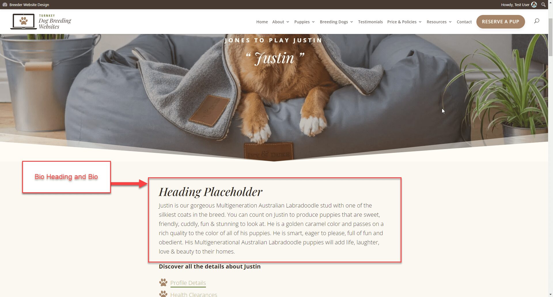 Dogs - Where the Dog Bio Heading and Bio Show on the Front of the Website - Screenshot