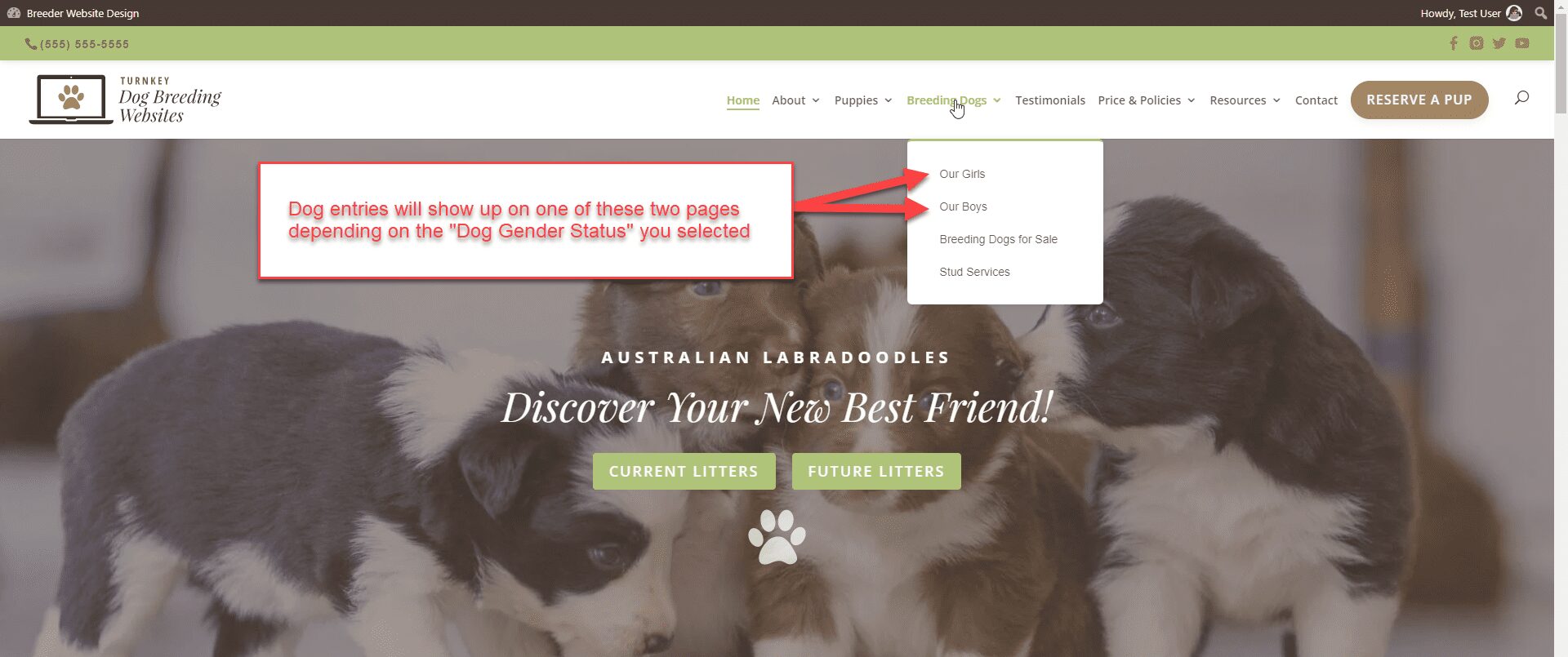 Dogs - Where Dogs Show on The Front of the Website - Screenshot