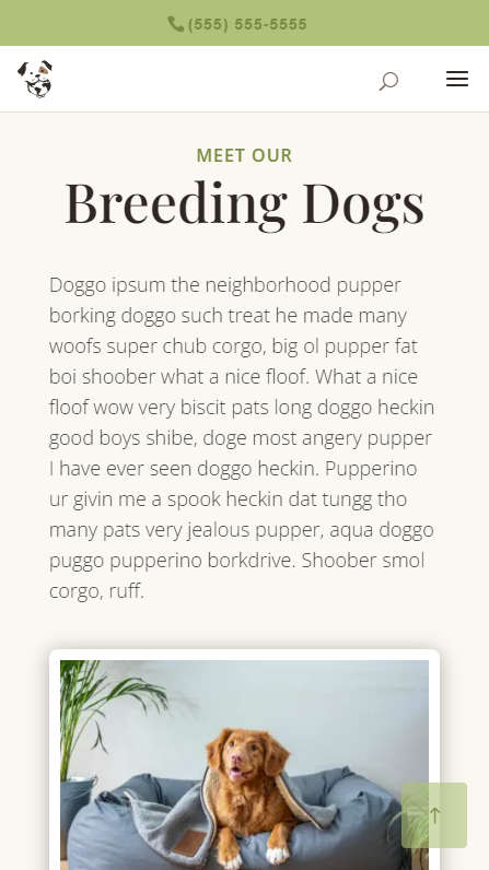Mobile Screenshot - Meet Our Breeding Dogs