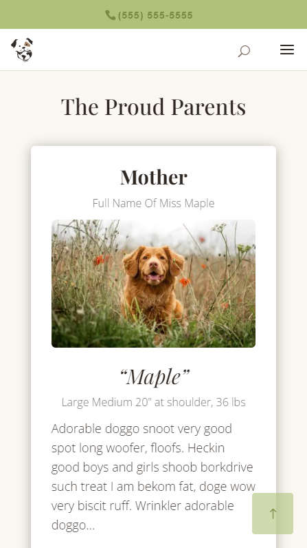 Mobile Screenshot - Mother profile box
